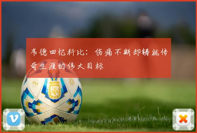 韦德回忆科比：伤痛不断却铸就传奇生涯的伟大目标