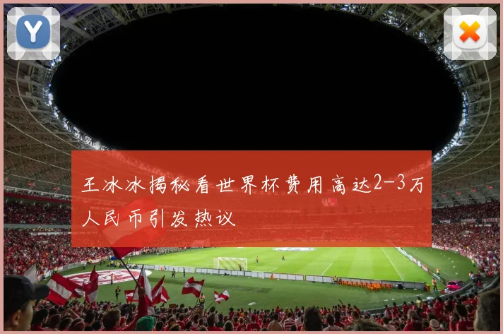 王冰冰揭秘看世界杯费用高达2-3万人民币引发热议
