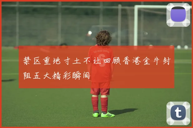 禁区重地寸土不让回顾香港金牛封阻五大精彩瞬间