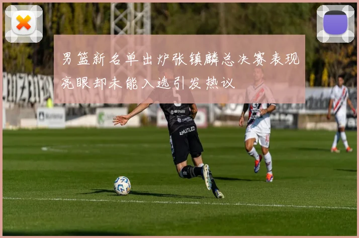 男篮新名单出炉张镇麟总决赛表现亮眼却未能入选引发热议